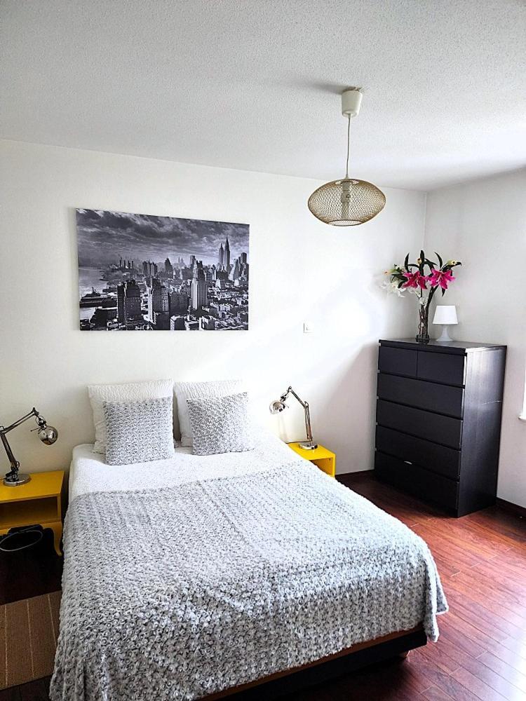 Appartement 3 pièces, Krutenau, Parking privé Strasbourg Bagian luar foto