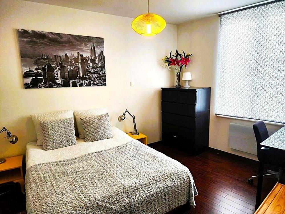 Appartement 3 pièces, Krutenau, Parking privé Strasbourg Bagian luar foto