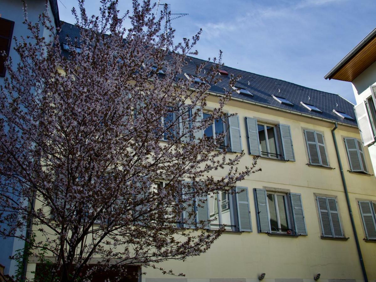 Appartement 3 pièces, Krutenau, Parking privé Strasbourg Bagian luar foto